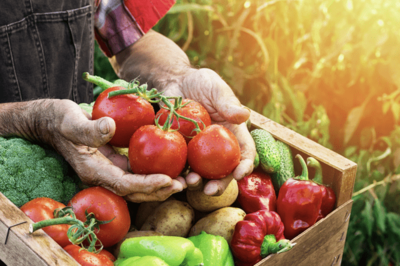 小目標定了！我國農產品加工業邁向32萬億新征程