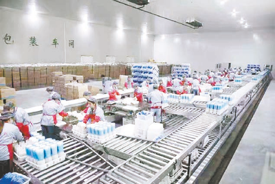 凝心聚力抓產(chǎn)業(yè) 厚積薄發(fā)富鄉(xiāng)村——農(nóng)產(chǎn)品發(fā)展助力鄉(xiāng)村振興新路徑