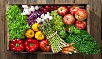 中國供銷延安農產品物流園 構筑放心“菜籃子”工程，助力農產品安全高效流通